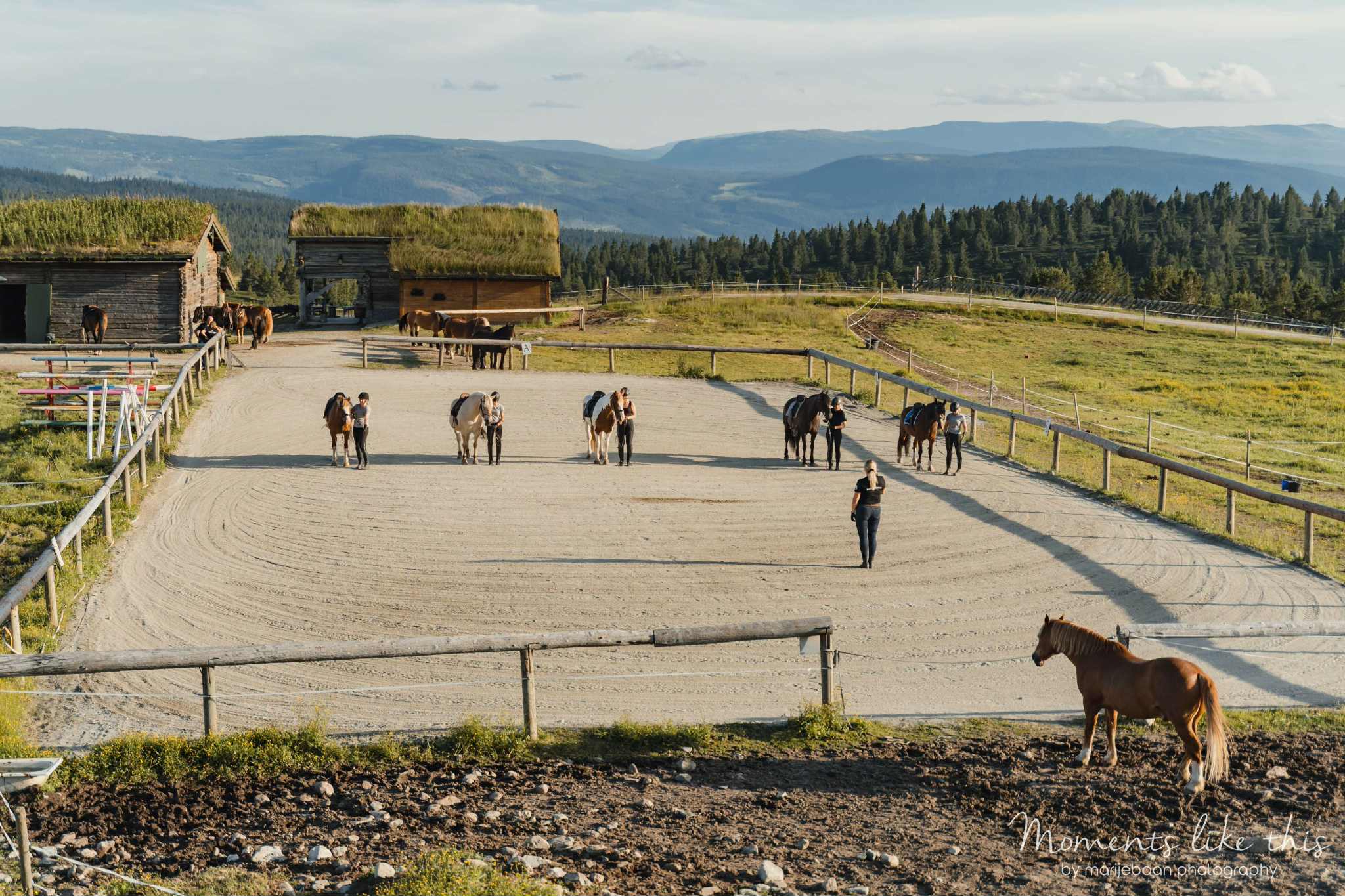 Sulseter_forsidebilde